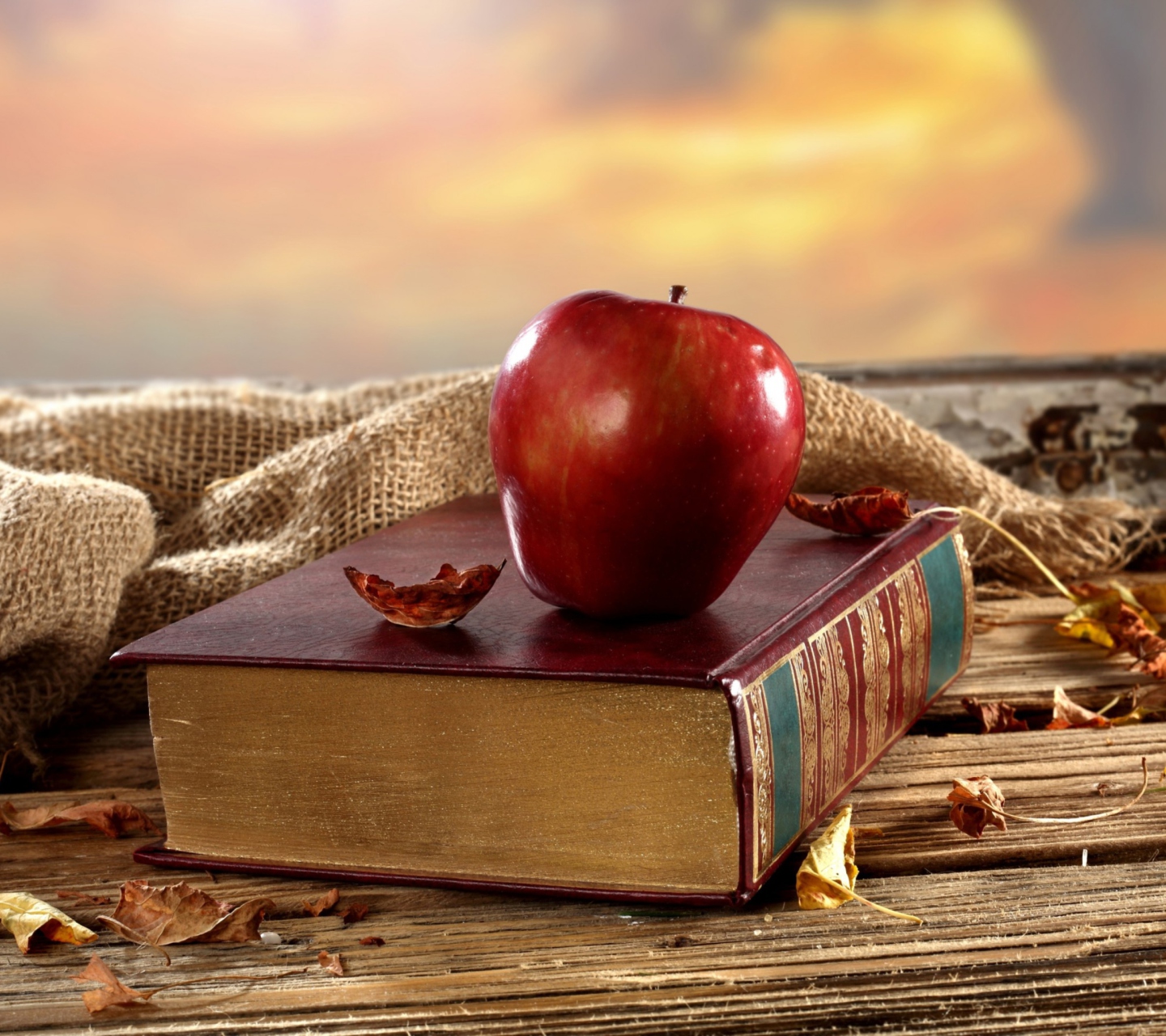 Das Apple And Book Wallpaper 1440x1280