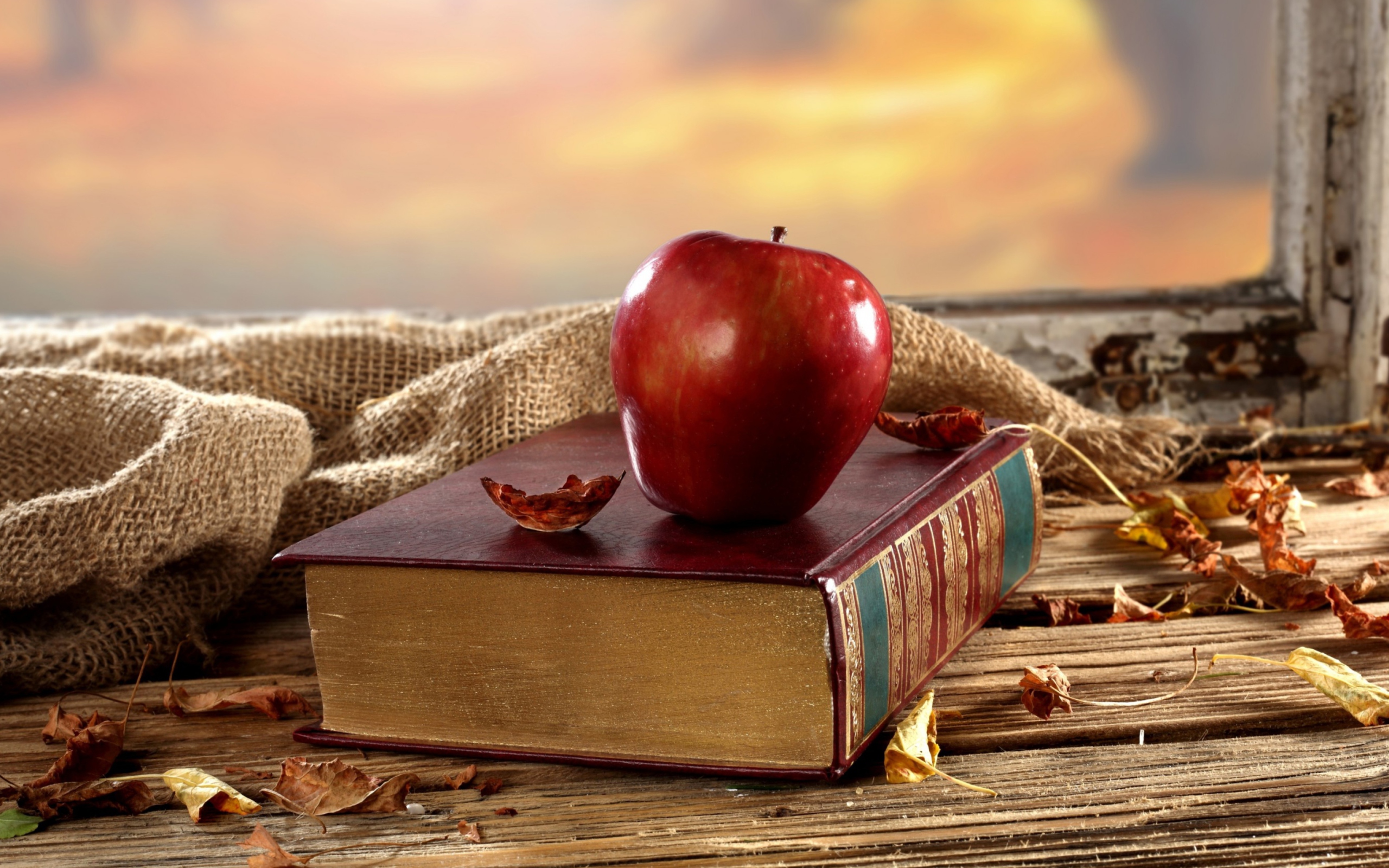 Apple And Book wallpaper 2560x1600
