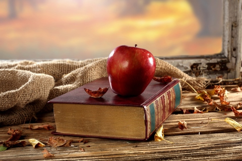 Apple And Book wallpaper 480x320