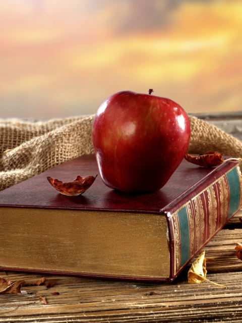 Apple And Book wallpaper 480x640