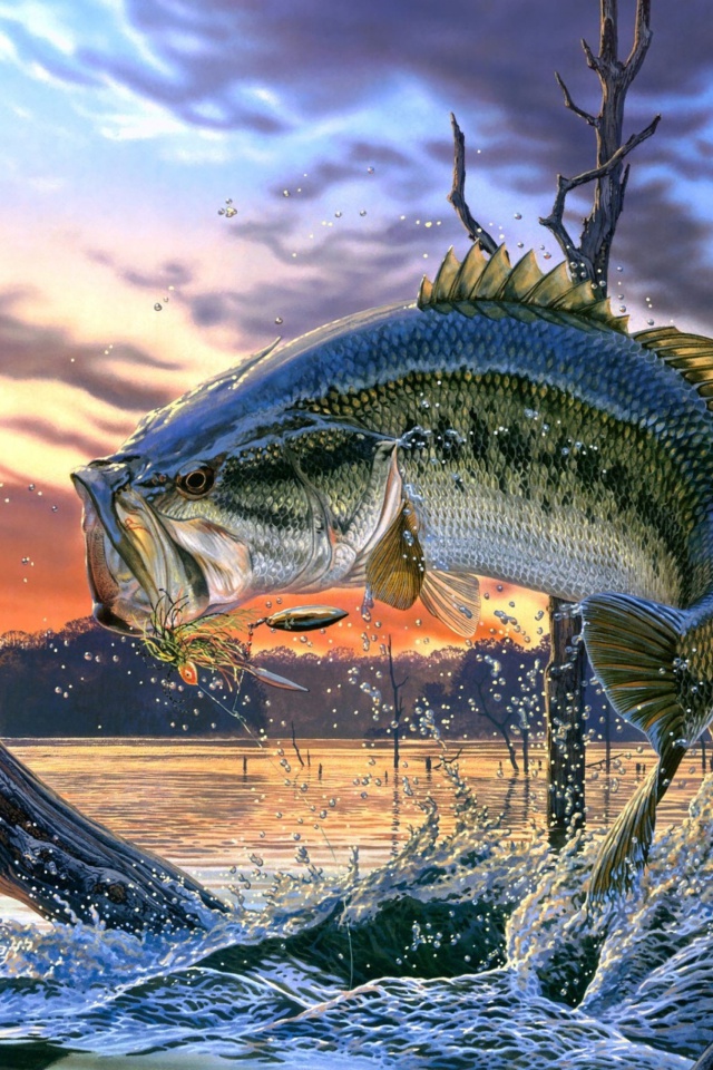 Das Percidae Fish Wallpaper 640x960