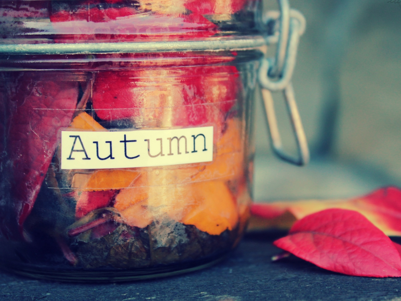 Das Autumn In Jar Wallpaper 1280x960