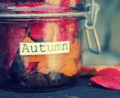 Fondo de pantalla Autumn In Jar 176x144