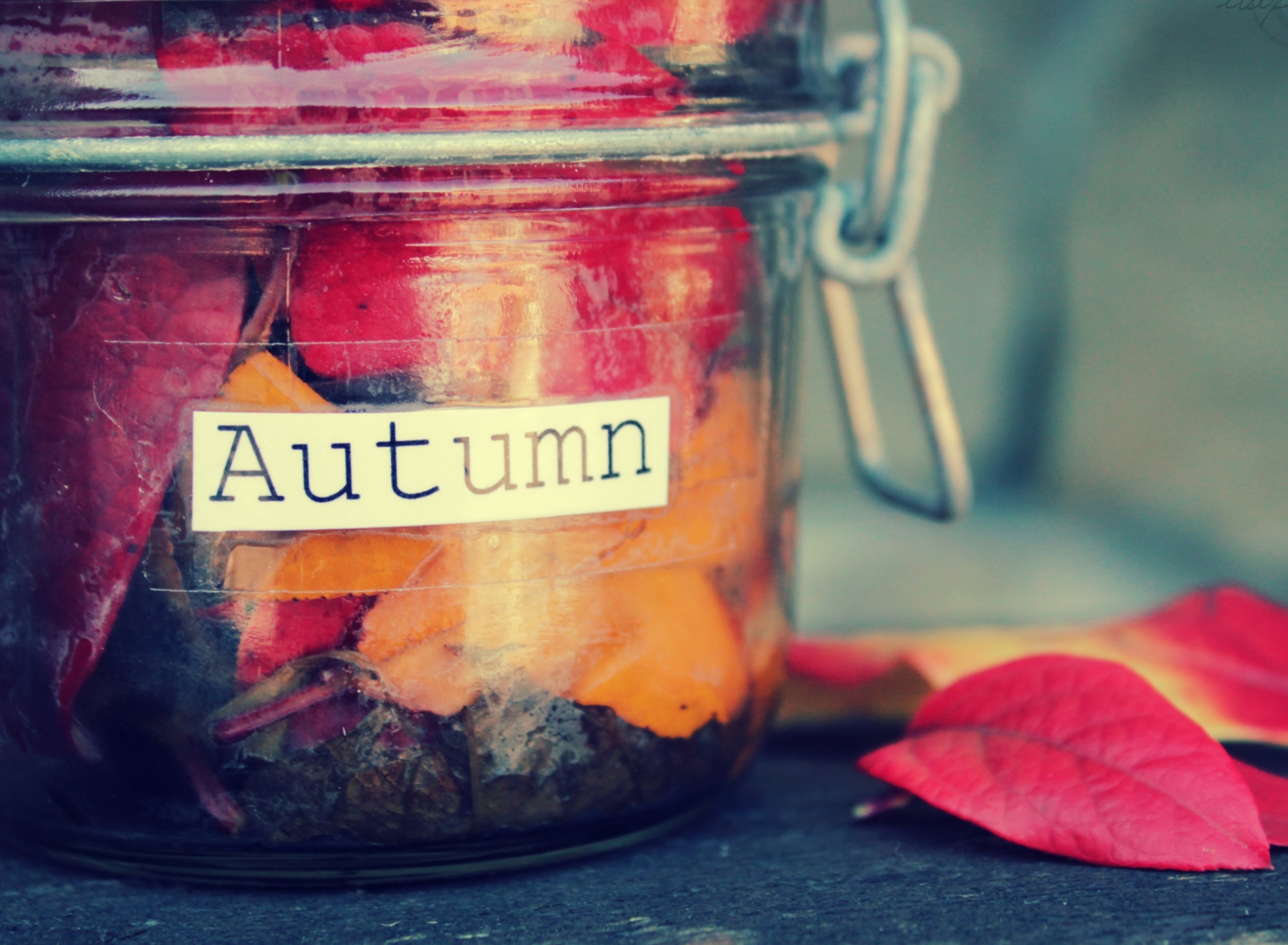 Autumn In Jar screenshot #1 1920x1408