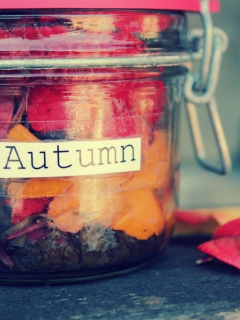 Das Autumn In Jar Wallpaper 240x320