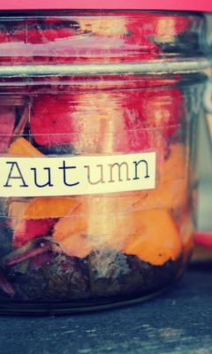 Autumn In Jar screenshot #1 240x400