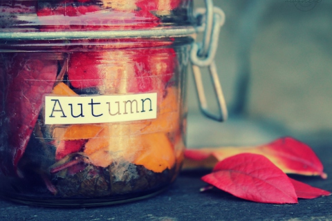 Autumn In Jar screenshot #1 480x320