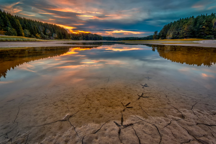 River Evening wallpaper