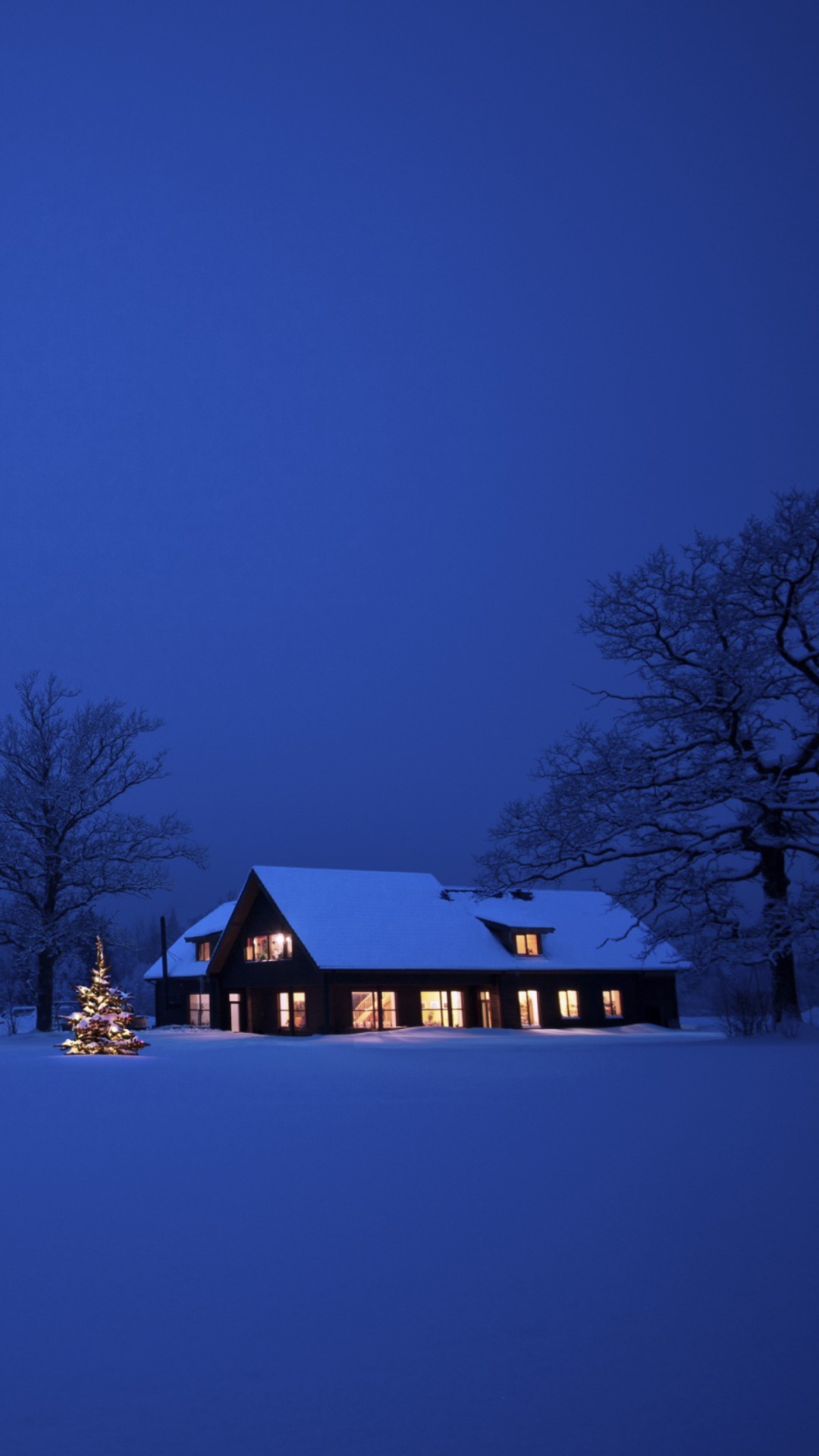 Screenshot №1 pro téma Lonely House, Winter Landscape And Christmas Tree 1080x1920