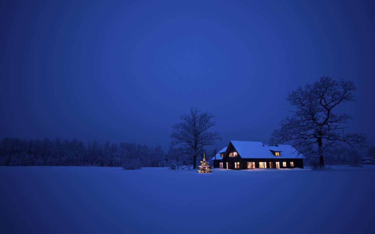 Lonely House, Winter Landscape And Christmas Tree wallpaper 1280x800