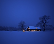 Обои Lonely House, Winter Landscape And Christmas Tree 176x144