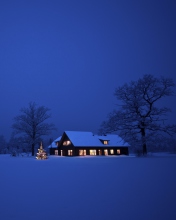 Обои Lonely House, Winter Landscape And Christmas Tree 176x220