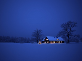 Обои Lonely House, Winter Landscape And Christmas Tree 320x240