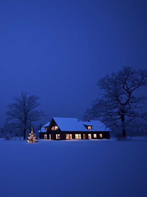 Lonely House, Winter Landscape And Christmas Tree wallpaper 480x640
