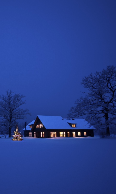 Fondo de pantalla Lonely House, Winter Landscape And Christmas Tree 480x800