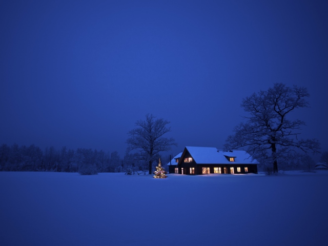Fondo de pantalla Lonely House, Winter Landscape And Christmas Tree 640x480