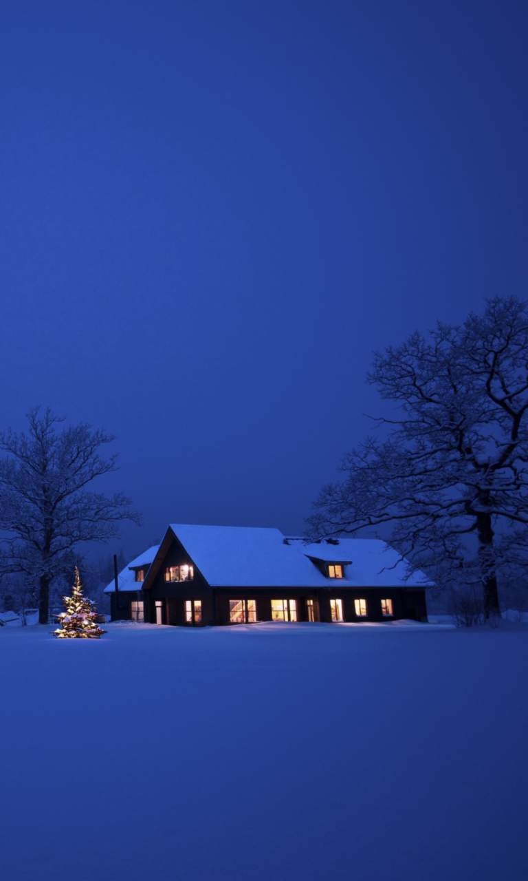 Sfondi Lonely House, Winter Landscape And Christmas Tree 768x1280
