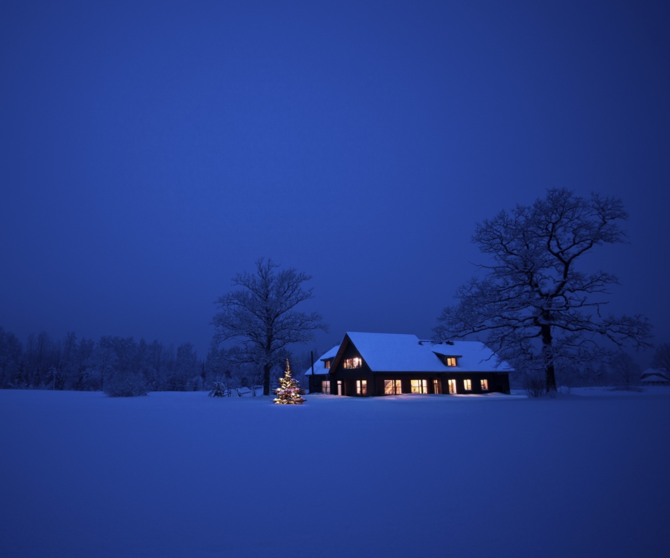 Обои Lonely House, Winter Landscape And Christmas Tree 960x800