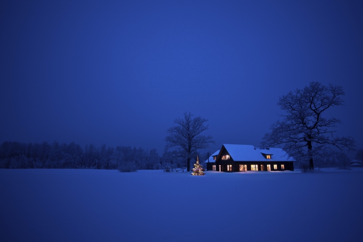 Sfondi Lonely House, Winter Landscape And Christmas Tree