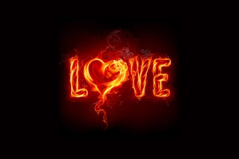 Fire Love wallpaper 480x320