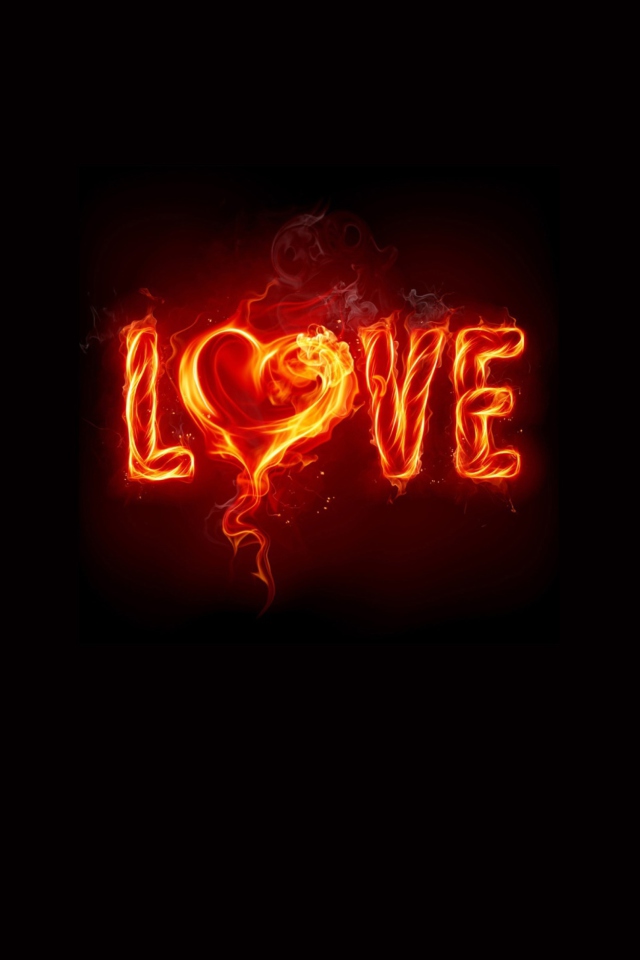Fondo de pantalla Fire Love 640x960