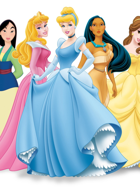 Das Disney Princess Wallpaper 480x640