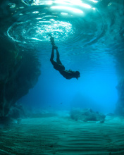 Scuba Diving wallpaper 176x220
