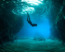 Das Scuba Diving Wallpaper 220x176