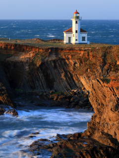 Обои Cape Arago Lighthouse 240x320