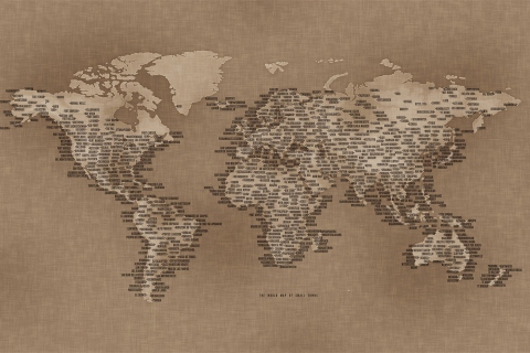 Screenshot №1 pro téma World Map 480x320
