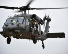 Sikorsky HH-60 Pave Hawk screenshot #1 220x176