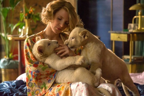 Screenshot №1 pro téma The Zookeepers Wife Film with Jessica Chastain 480x320