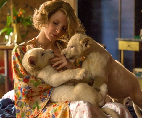 Обои The Zookeepers Wife Film with Jessica Chastain 480x400