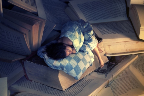 Reading And Dreaming wallpaper 480x320