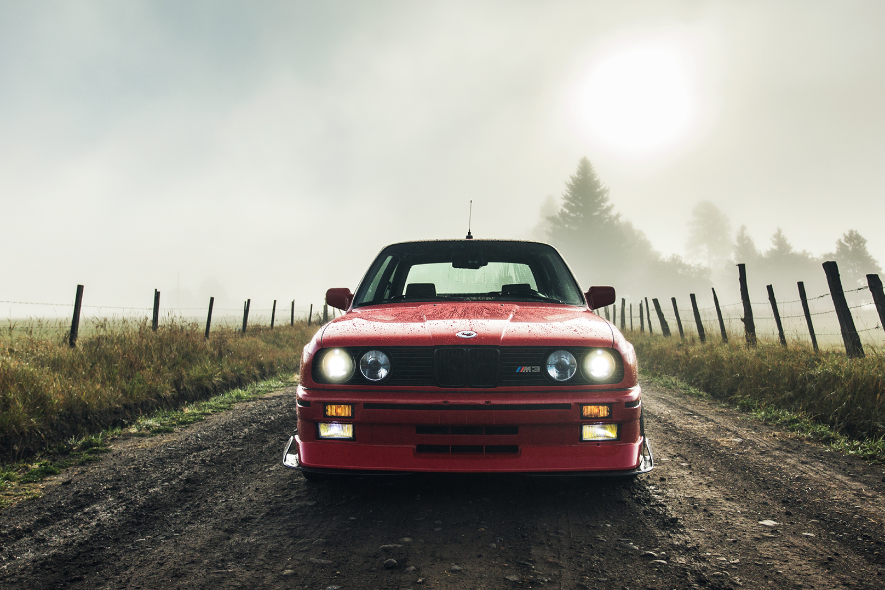 Das BMW M3 in Grassland Wallpaper 2880x1920