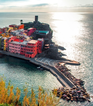 Italy Vernazza Colorful Houses sfondi gratuiti per 132x176