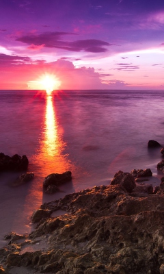 Beach Sunshine screenshot #1 240x400