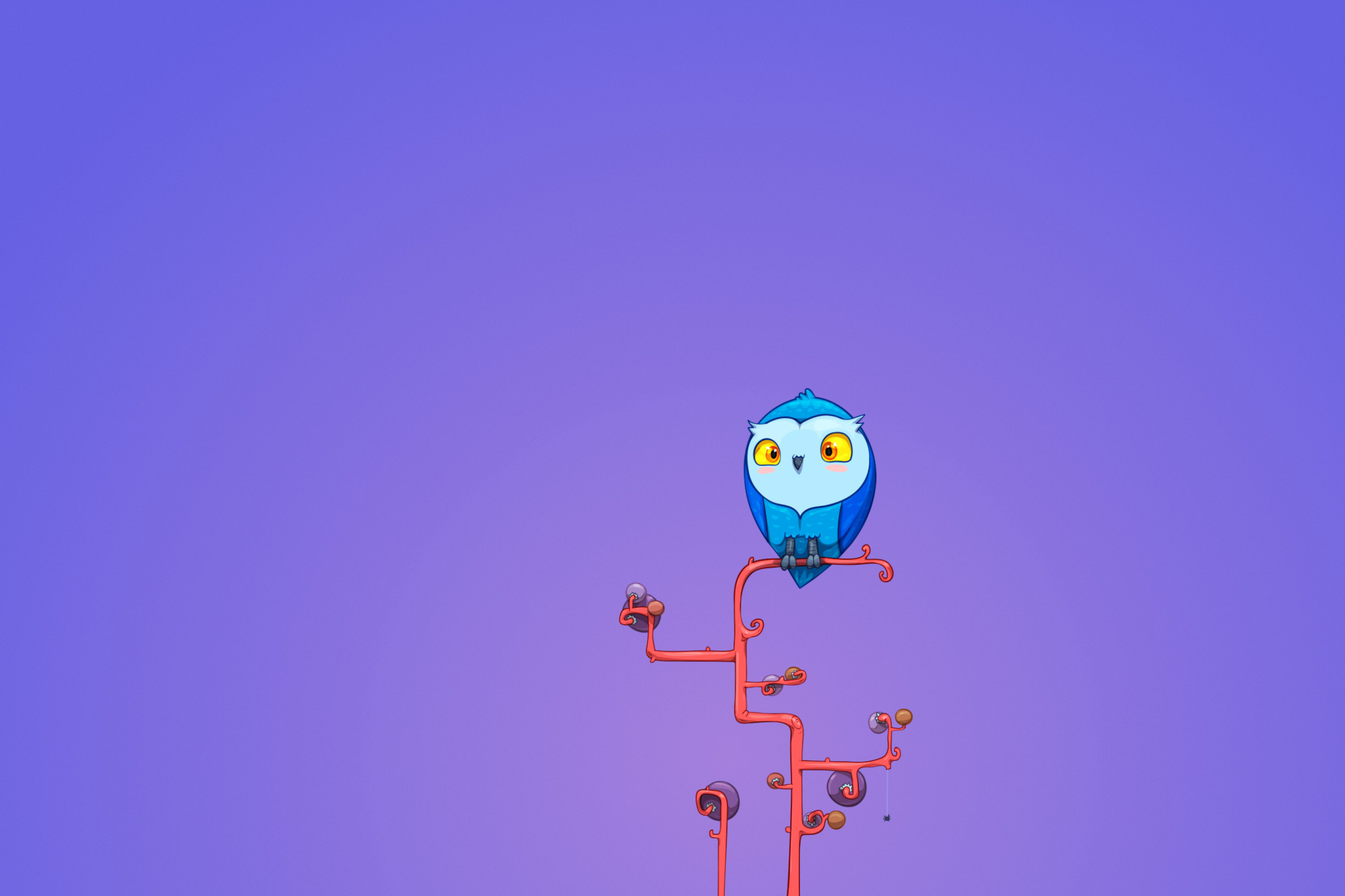 Обои Cute Blue Owl 2880x1920