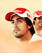 Das Fernando Alonso Wallpaper 176x220