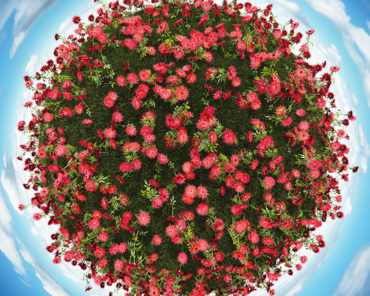 Screenshot №1 pro téma Red Flowers 1280x1024