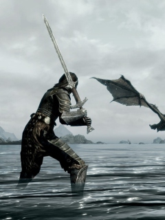 The Elder Scrolls V: Skyrim screenshot #1 240x320