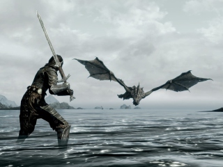 The Elder Scrolls V: Skyrim screenshot #1 320x240