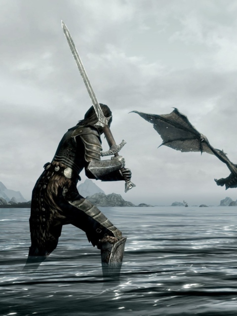 The Elder Scrolls V: Skyrim screenshot #1 480x640