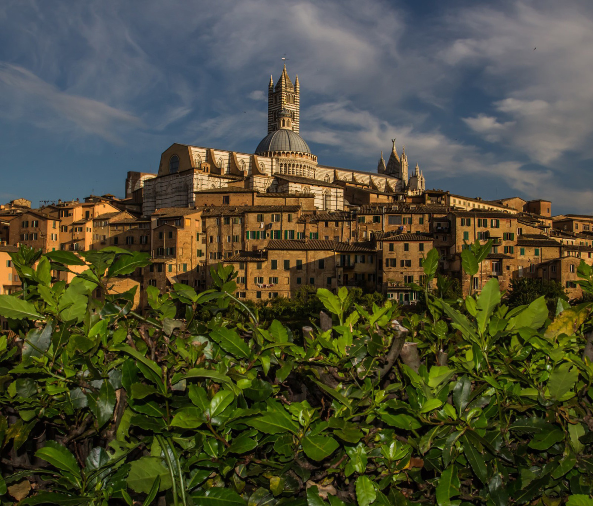 Sfondi Cathedral of Siena 1200x1024