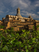 Fondo de pantalla Cathedral of Siena 132x176