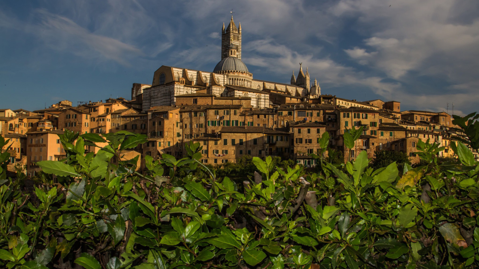 Cathedral of Siena wallpaper 1600x900