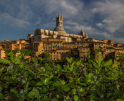 Das Cathedral of Siena Wallpaper 176x144