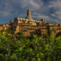 Das Cathedral of Siena Wallpaper 208x208