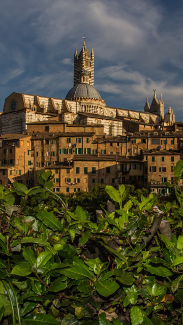Das Cathedral of Siena Wallpaper 360x640