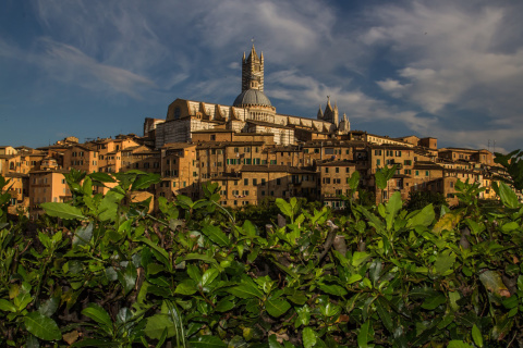 Das Cathedral of Siena Wallpaper 480x320